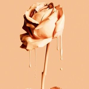 Meet your Posher, Rose